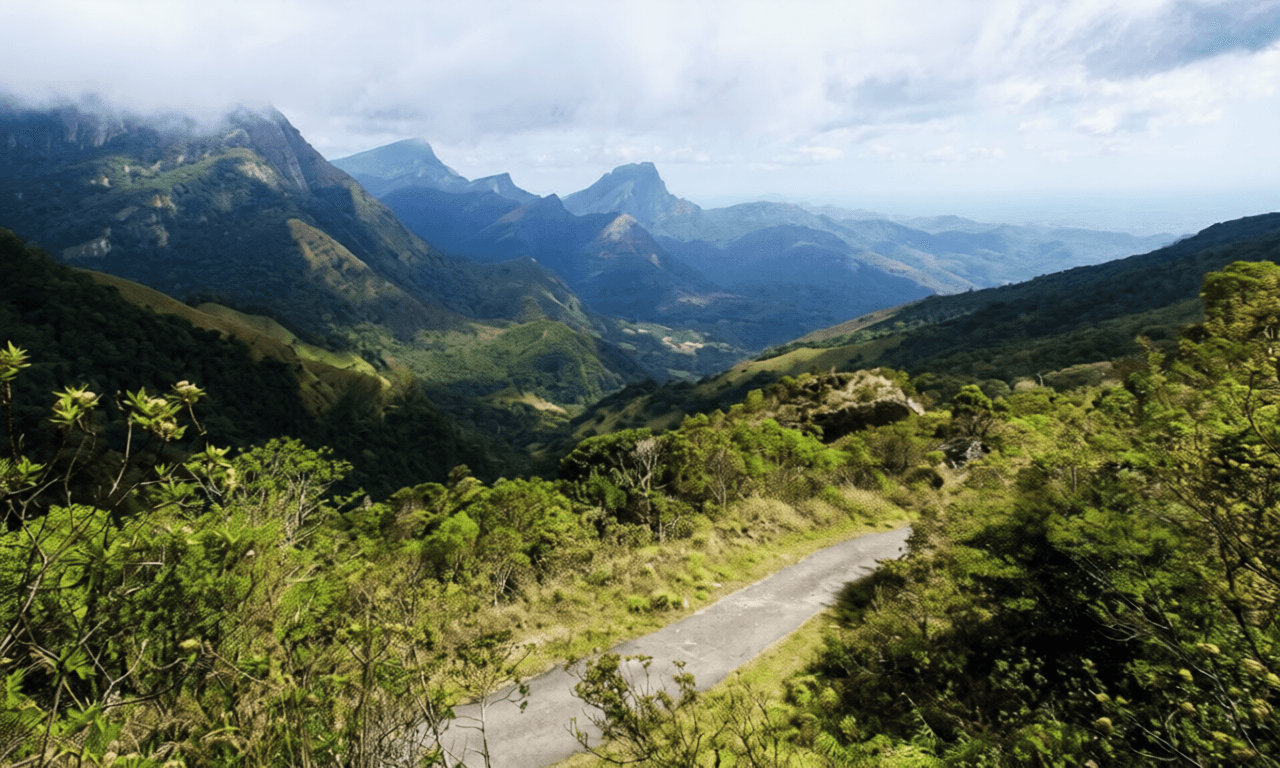 Knuckles Mountain Range